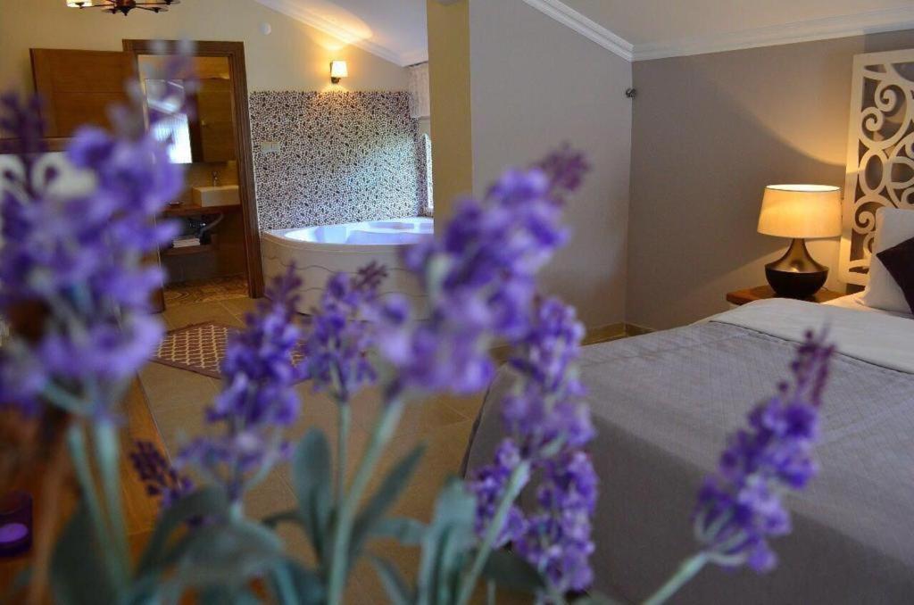 Agva Sweet Home River Hotel Экстерьер фото